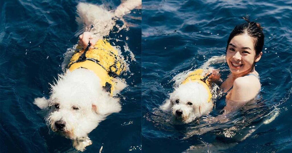 寵物海上游泳課